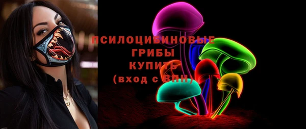 стафф Бронницы