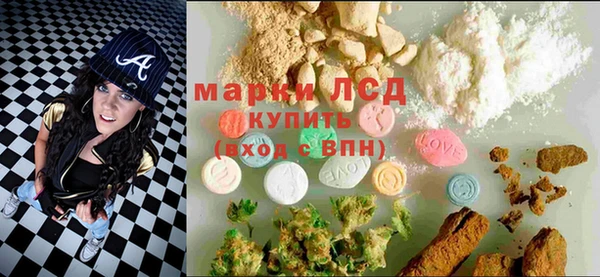 дживик Бородино