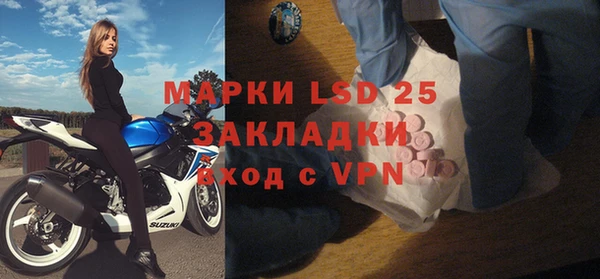 дживик Бородино