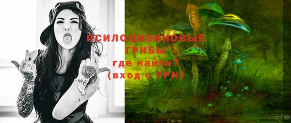 скорость Саяногорск