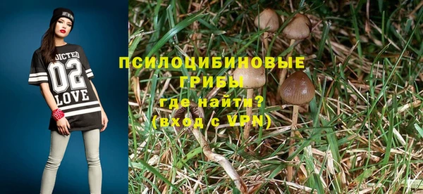 гидра Бугульма