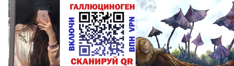 Псилоцибиновые грибы Cubensis  Каневская 