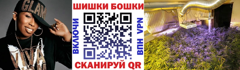 Шишки марихуана марихуана  где продают   Каневская 