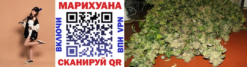 Каннабис планчик Каневская